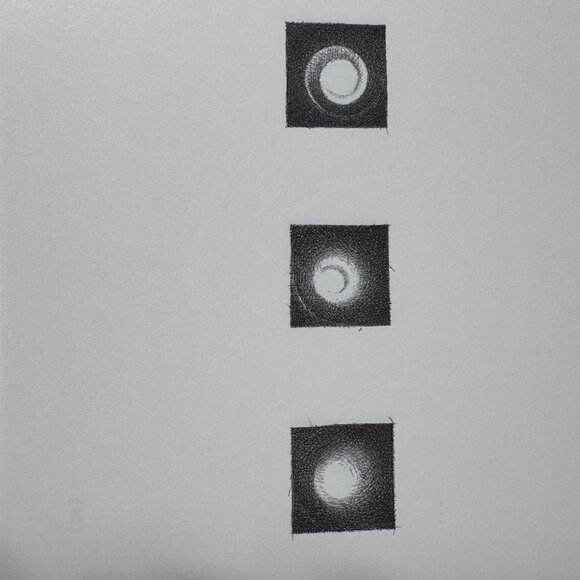 Christine Taylor Patten Micros Art Book 1999 Stinehour Press 1st Edition Signed - Picture 10 of 16